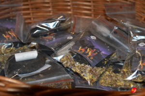 Kołaczyce: Orszak Trzech Króli i Kolędnicy Misyjni 2026